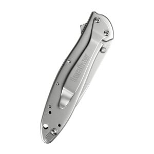 Coltello tascabile Kershaw Leek, lama in composito